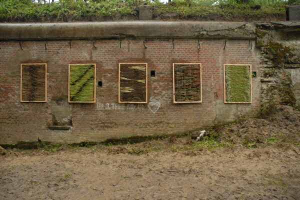 Botanika-fortmissia_2011 (3)